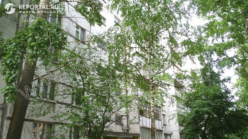 Сафиуллина, 26