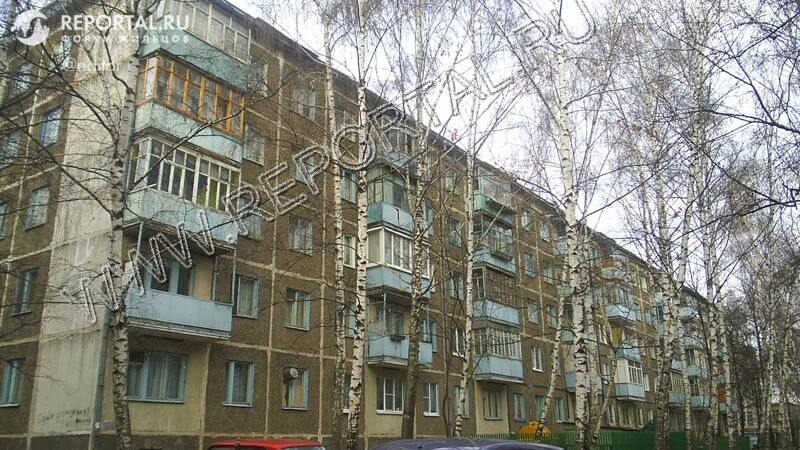 Белинского, 41